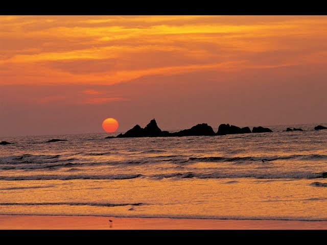 Kovalam beach